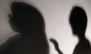 부킹녀 집에 데려와 성폭행…30대 남성 징역 2년6월 실형