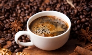 아라비카 원두 특징 “카페인 함량 낮고 손으로 일일이 심고 수확”