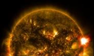 M등급 태양 플레어…2015년도 첫 관측