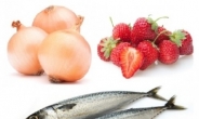 고지혈증 막아주는 식품 “나이들수록 챙겨먹어야 할 음식”