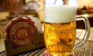 ‘황금빛 맥주의 본고장’ 체코, 한국 온다…내년 말부터 맥주생산