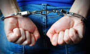 성범죄 6범, 전자발찌 찬 채 또 성폭행 시도…징역5년