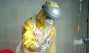 에볼라 파견 긴급구호대, 의료활동 종료