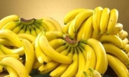 [생활의 발견] 바나나, 검은 점 생기면 상했다? 가장 맛좋을 때