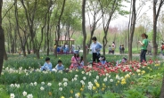 주말 봄나들이 한택식물원에 가볼까…‘봄꽃페스티벌 2015’ 화려한 막 올린다
