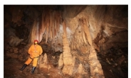 ‘천연동굴의 보고(寶庫)’ 정선 일대 12월까지 일제조사