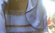 ‘파검’이냐 ‘흰금’이냐…신비의 드레스 젊을수록 ‘파검’으로 보인다?