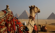 낙타도 사는 중동의 나라 ‘이집트’…메르스 감염 1명으로 막은 방법은?