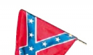 인종차별 상징…美남부연합기 사라지나
