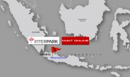 인터파크, 인도네시아에 온라인여행사 설립