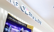 LG 올레드TV 상반기 1만5천대 판매