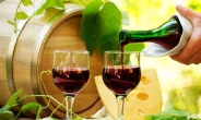 남아공 와인, 中유혹 대성공