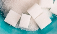 [건강 3650]설탕에 빠진 대한민국…과다섭취는 질병 부른다