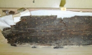 고려시대 목관에서 금가루로 쓴 고대 인도 문자 발견