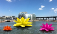 한강에 초대형 꽃이 활짝 핀다!