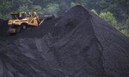 전 세계 석탄 소비 사상 최대폭 줄었는데…