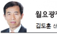 [월요광장-김도훈] 기업간 전략적 제휴로 본 韓·佛 산업관계