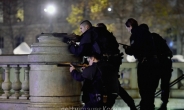 프랑스, 'IS 심장' 20차례 융단 폭격…테러 응징