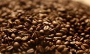 엘리뇨 다음은 라니냐…내년 커피, 옥수수 등 곡물 가격 오른다