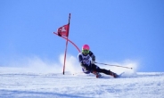 이랜드파크 베어스타운서 국제 알파인 스키대회 열린다