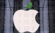흔들리는 애플 주가…아이폰6C 투입 역효과 불러올까?