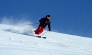 신동빈 회장의 특별한 스키 사랑…대한민국 스키 도약 이끈다