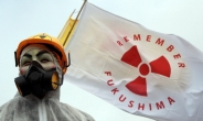 日, 후쿠시마 악몽 가시기도 전에 2번째 원전 재가동