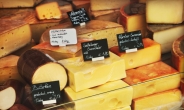 [리얼푸드] 2019년까지 세계 치즈 시장 1000억 달러 넘는다