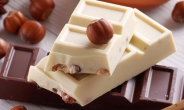 [리얼푸드] 초콜릿 속 헤이즐넛의 비밀