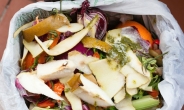 [리얼푸드]프랑스, ‘짧은 유통기한’ 손질…음식물 쓰레기 줄인다