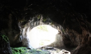 ‘제주도 산속서 15년 동굴생활’, 40대男 발견