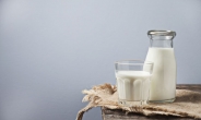 탄산음료 대안은 우유?… 코카콜라의 변신