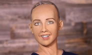 AI 로봇 소피아 “인류 파멸시키겠다” 답변 …'공포'