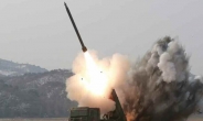 [김수한의 리썰웨펀]북한 올해 어떤 미사일 쐈나