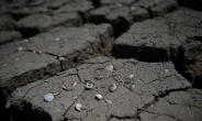 베트남 90년만에 최악 가뭄… 경제성장까지 차질