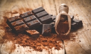 살 빼 준다?…초콜릿의 ‘달콤한 역습’