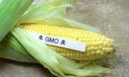 美 전역이 ‘영향권’...버몬트주 GMO 표기 의무화