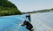 경북 영양군 공무원들, 강풍 피해 농가 찾아 복구 ‘구슬땀’