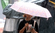 [보행중 스마트폰 경고표시 1주일 ②] 우산 쓰며 스마트폰 몰입…백배 천배 더 위험
