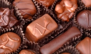 초콜릿ㆍ요거트…월요병과 이별하기