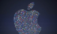 빛바랜 아이폰 10억대 판매 신화…애플 2분기째 역성장