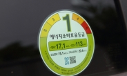 한국인 10명중 8명…“신차 구매조건은 힘보다 연비”