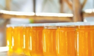 “마누카 꿀, 우리가 원조” 호주-뉴질랜드 ‘꿀 다툼’