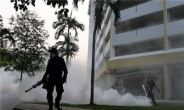 싱가포르 지카 감염자 26명 또 발생…확진자 총 82명