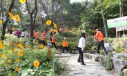 [강북구] “꽃샘길따라 피어난 가을 꽃 보러 오세요”