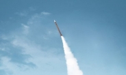 [북핵 대응무기]KAMD의 요격수단, 천궁 개량형 M-SAM, L-SAM