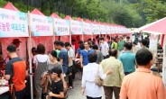 단돈 3천원으로 한국와인 150종을 맛볼수 있는 초간단비법