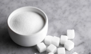 WHO “식품에 설탕세 부과하면 비만 인구 줄어든다”