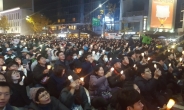 [일상이 된 촛불②]‘보-혁대립’ 긴장상황에도 꿋꿋한 ‘비폭력 시민’