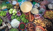 [aT와 함께하는 글로벌푸드 리포트] 고춧가루·라면·김치…베트남 농식품 한류바람